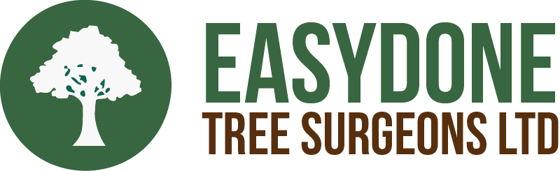 Easydone Tree Surgeons Ltd